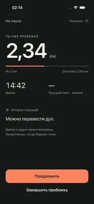 Paused run screen saying the story will wait, with Continue and Finish buttons.