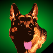 Dom Shebis icon